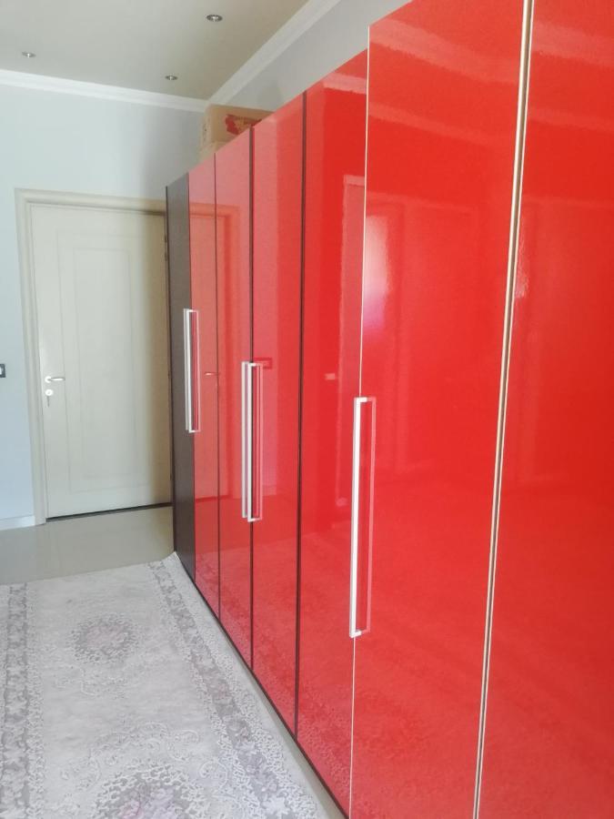 Home 12 Librazhet Kültér fotó