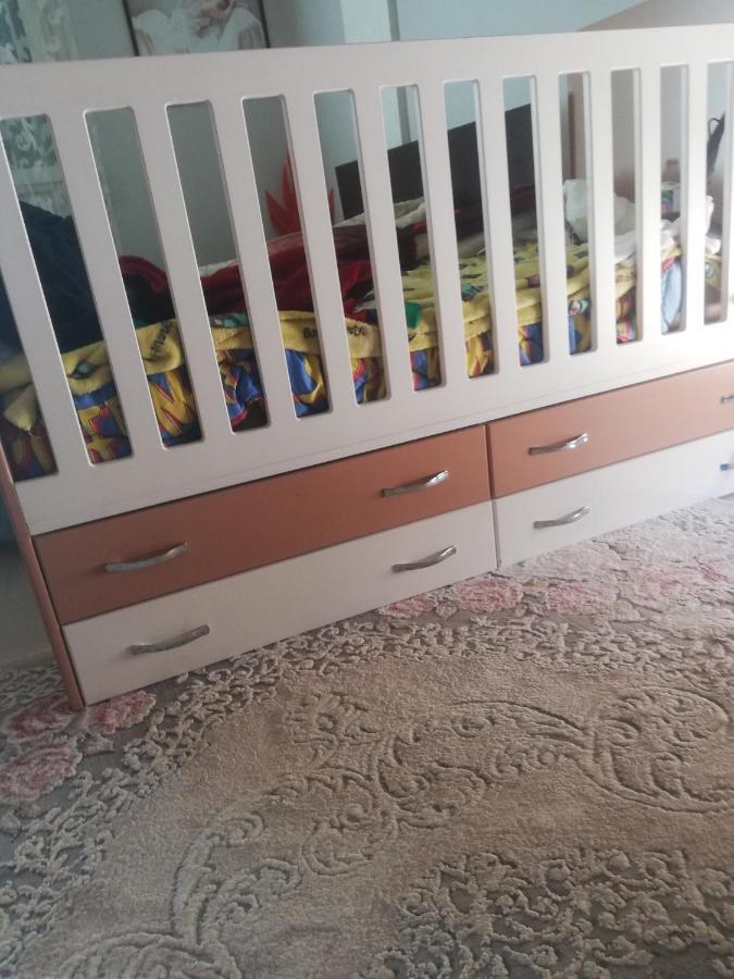 Home 12 Librazhet Kültér fotó