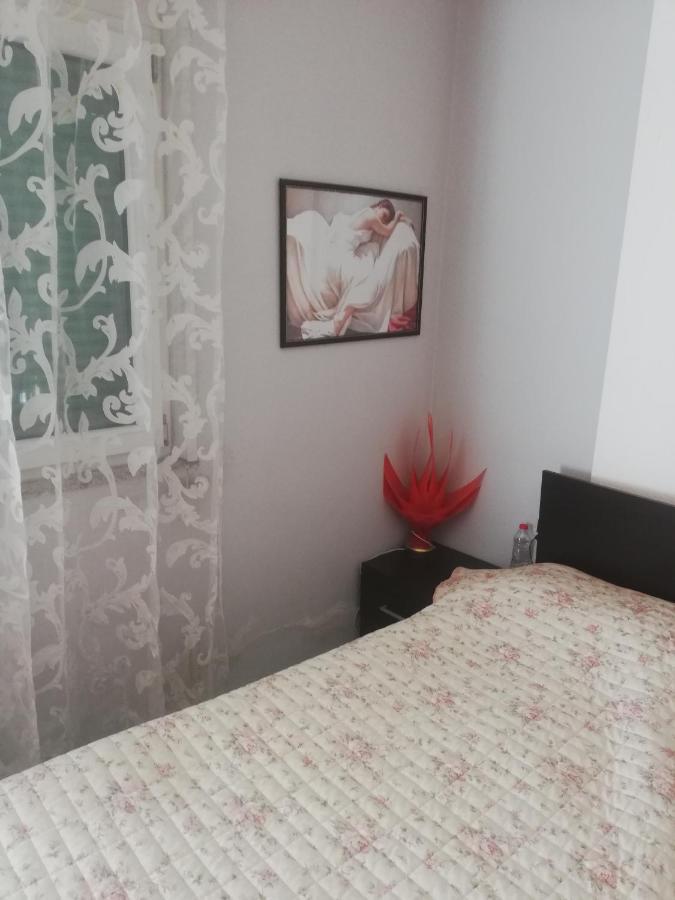 Home 12 Librazhet Kültér fotó